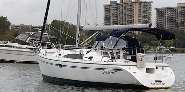 catalina309